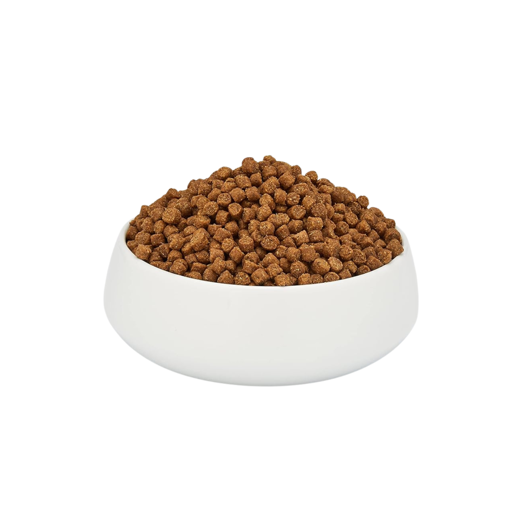 Schesir Cat Dry Food Maintenance with Chicken-Adult[Weight - 1.5kg ...